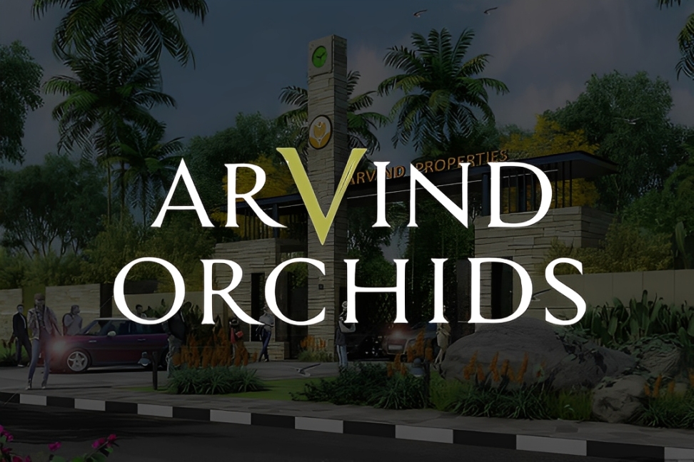 Arvind Orchids